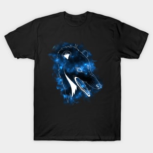 possessed opossum T-Shirt